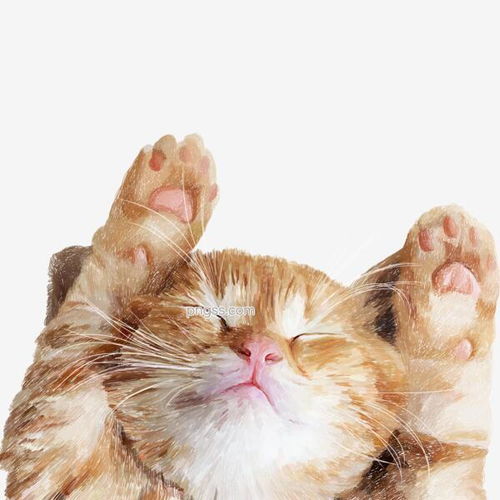 举着爪子的猫卡通设计图片大小2000x2000px图片尺寸4.82mb来自png搜索网pngss.com免费免扣png素材下载动物卡通可爱猫咪萌宠手绘小猫装饰图案