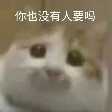 我的收藏