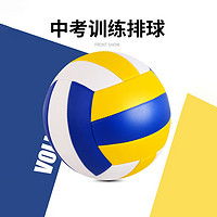 其他品牌排球施耐德软式5号排球中考标准初中学生训练专用球少年男沙滩比赛球多少钱