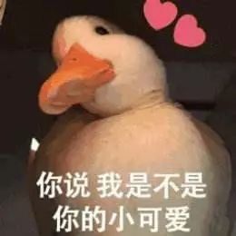 比心搞笑表情包比心
