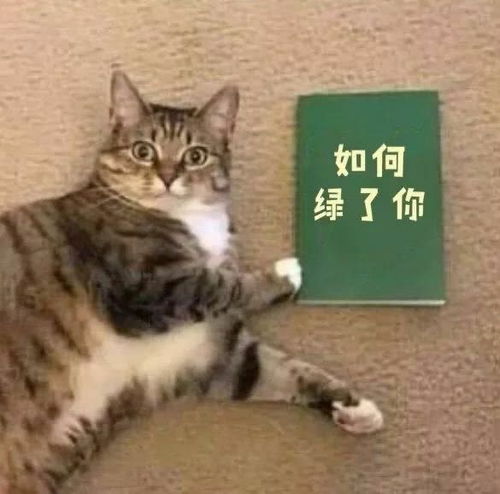 表情包猛虎不争气地落泪