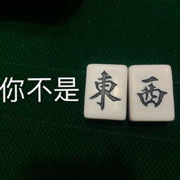 搓麻少女的表情包合集我太南了