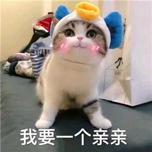 萌萌哒的喵星人微信带字表情包妹子专用喵星人表情包