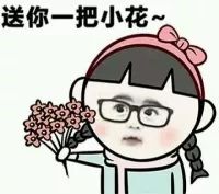 美爆了桂林市区竟藏着一条2公里长的花海大街你还没去看