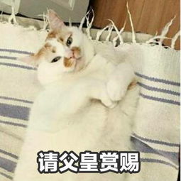 你们有问爸妈要钱的表情包吗