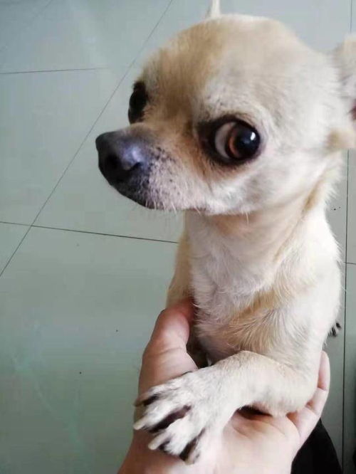 迪迦奥特曼下架动画片暴力对孩子的负面影响,实在不可小觑