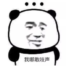 表情包丨祝你们幸福,我的爱情也在路上啦
