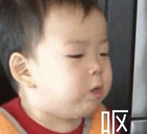 表情表情包...表情