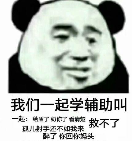 王者荣耀玩家排位自闭了排位熊猫头沙雕表情包