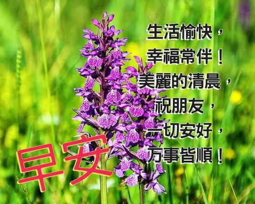 4月20日最新漂亮的早安问候祝福语动态美图,温馨早安问候语图片