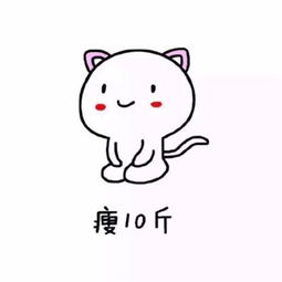 六十岁微信使用头像不换