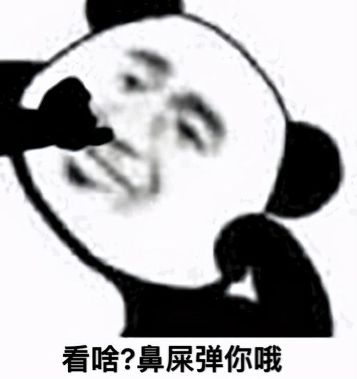 爆笑沙雕表情包别人都是用香奈儿包,而我用的是表情包