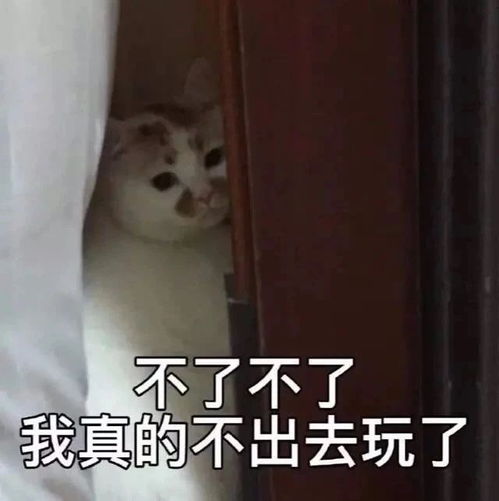 搞笑表情包图片微信军训