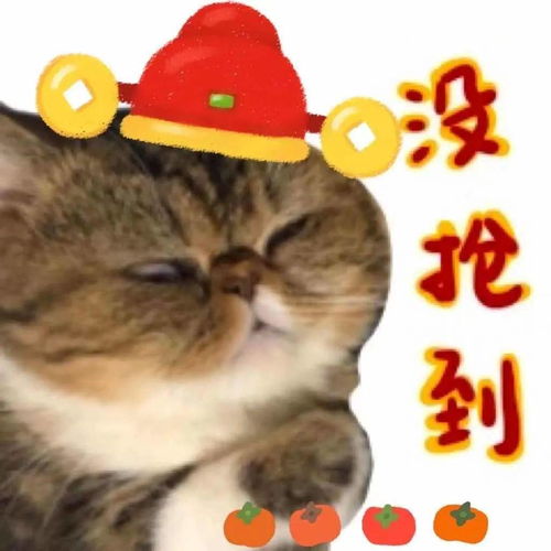 快过年了,你该入手哪些毛孩表情包