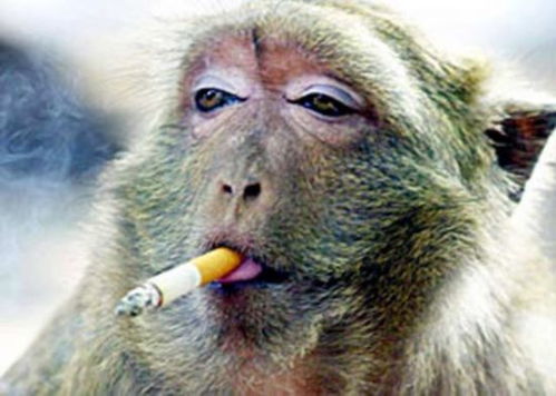 非常不错的搞笑幽默短文50