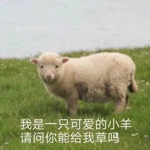 表情包图片大全孩子表情包动图0709期