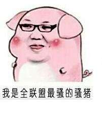 骚猪表情包搞笑图片