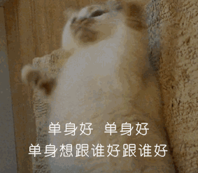 表情包你单身的原因