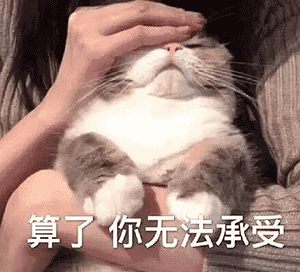 表情包不许去找别的小姐姐