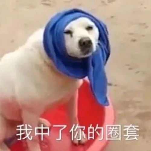 搞笑段子我直接吐她一脸唾沫星子,这是豆沙包你个蠢货