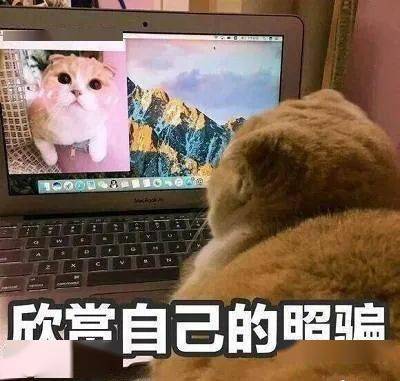 动漫头像女朋友生气的点可以有多低
