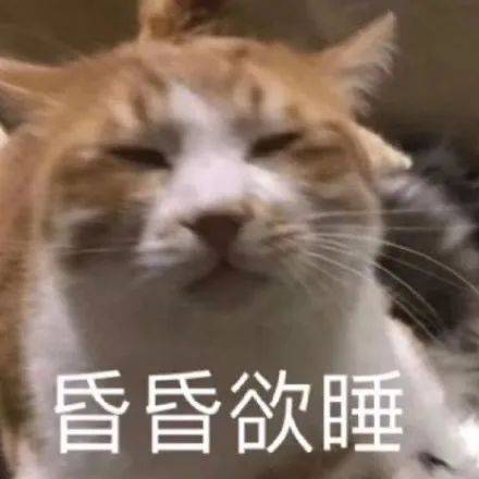 搞笑表情包更新我懂的,这就是生活