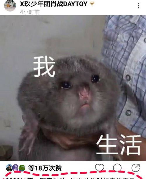 王一博肖战童年照片流出,王一博肉嘟嘟萌萌的,肖战搞怪可爱