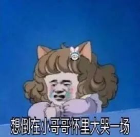 斗图小表情2.3
