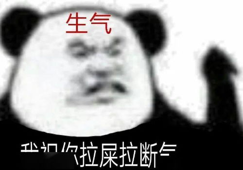 如果在公交车上讨论八卦...哈哈哈哈哈哈太好笑了