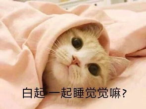 海量低清图,今年斗图就靠这些表情包了拿走不谢