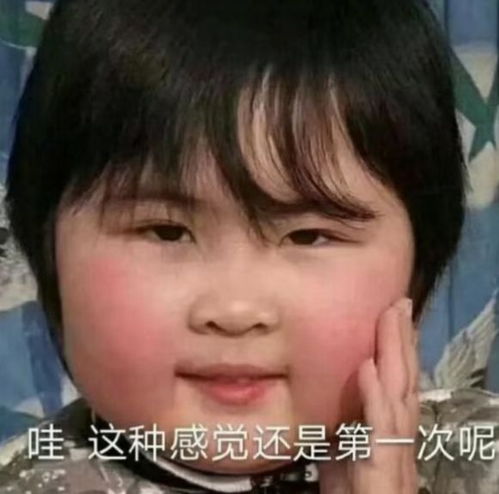 沙雕女孩的生活是什么样的