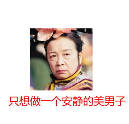 史上最全还珠格格表情包大合集
