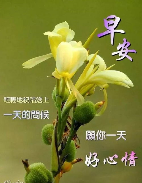 微信问候语早上好表情图片清晨励志问候语及关心话大全