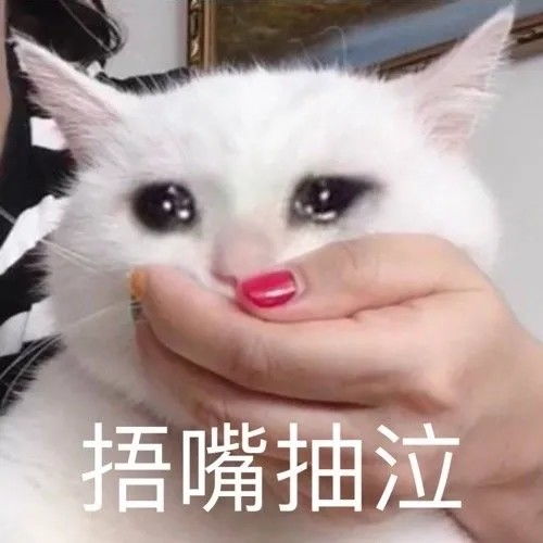 和男朋友打情骂俏的沙雕猫咪表情包