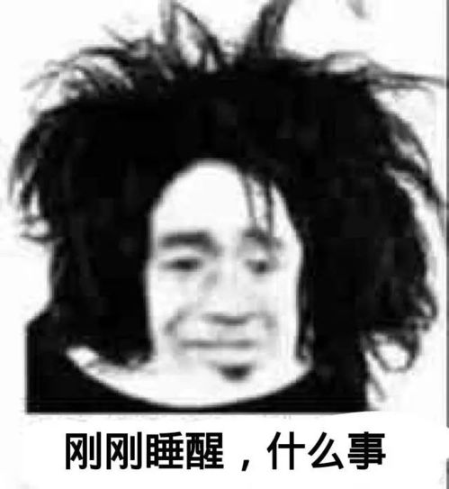 表情包有几个沙雕表情包太好笑了吧