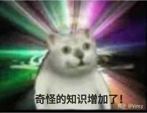 有哪些能用来吹爱豆彩虹屁的句子