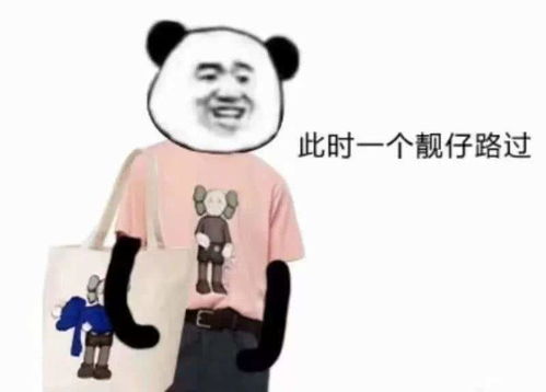 沙雕熊猫头我的沙雕网友大军何在