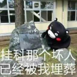 搞笑的表情包配文搞笑