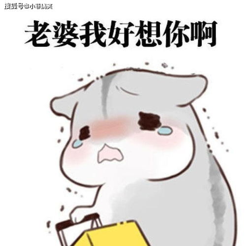 搞笑gif趣图妹子,你们穿着高跟鞋拔河能使上劲吗