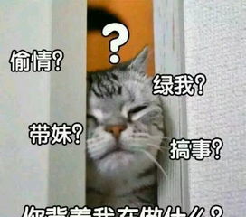 沙雕图片,搞笑段子集锦用四个字来形容一下一个人很丑