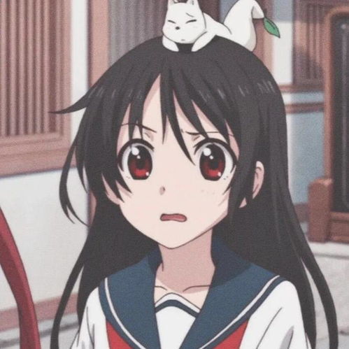 各位大神这是什么动漫呀