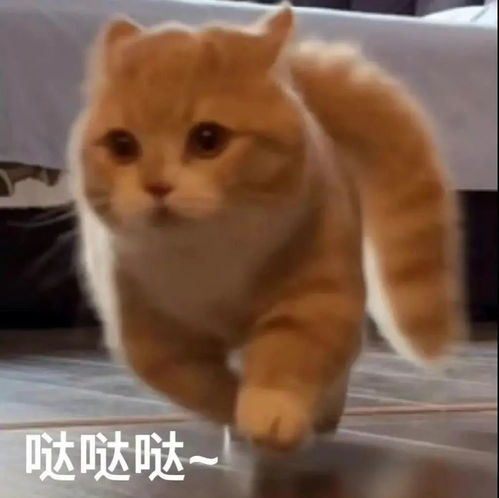表情包可爱搞怪表情包32张
