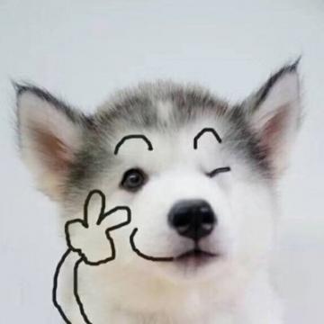 呆萌搞笑的狗狗情侣头像最新微信可爱小狗头像一对两张