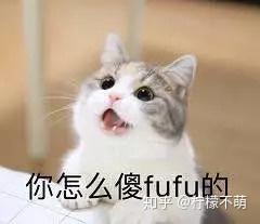 有没有比较搞怪的文案和表情包,来分享下吧