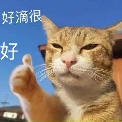原班人马来了我在九零年代当后妈取景白沙