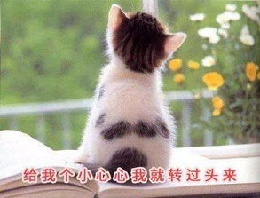 搞笑gif图片笑话段子一个好哥们晚上喝酒回家时,不觉天色已晚...