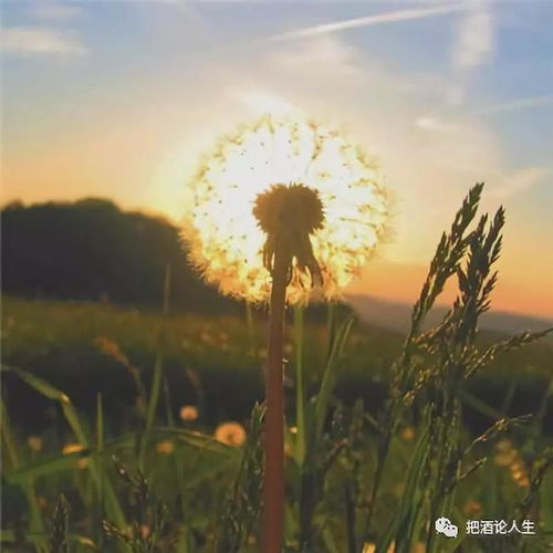 每个人都要对自己和未来负责