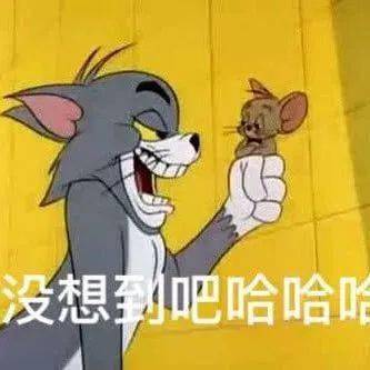 表情包猫和老鼠动态表情包大全