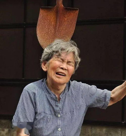 这位72岁学摄影的日本老奶奶,太硬核了