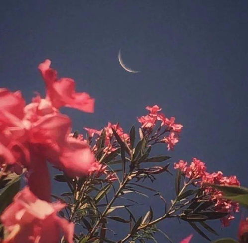 能与朋友相识,就是这个初夏最好的礼物